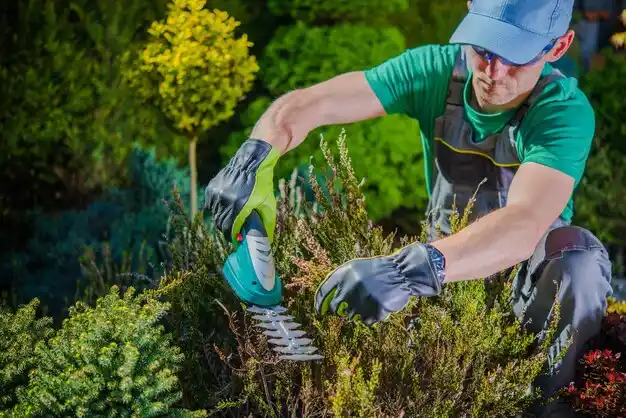 landscaping services Devola